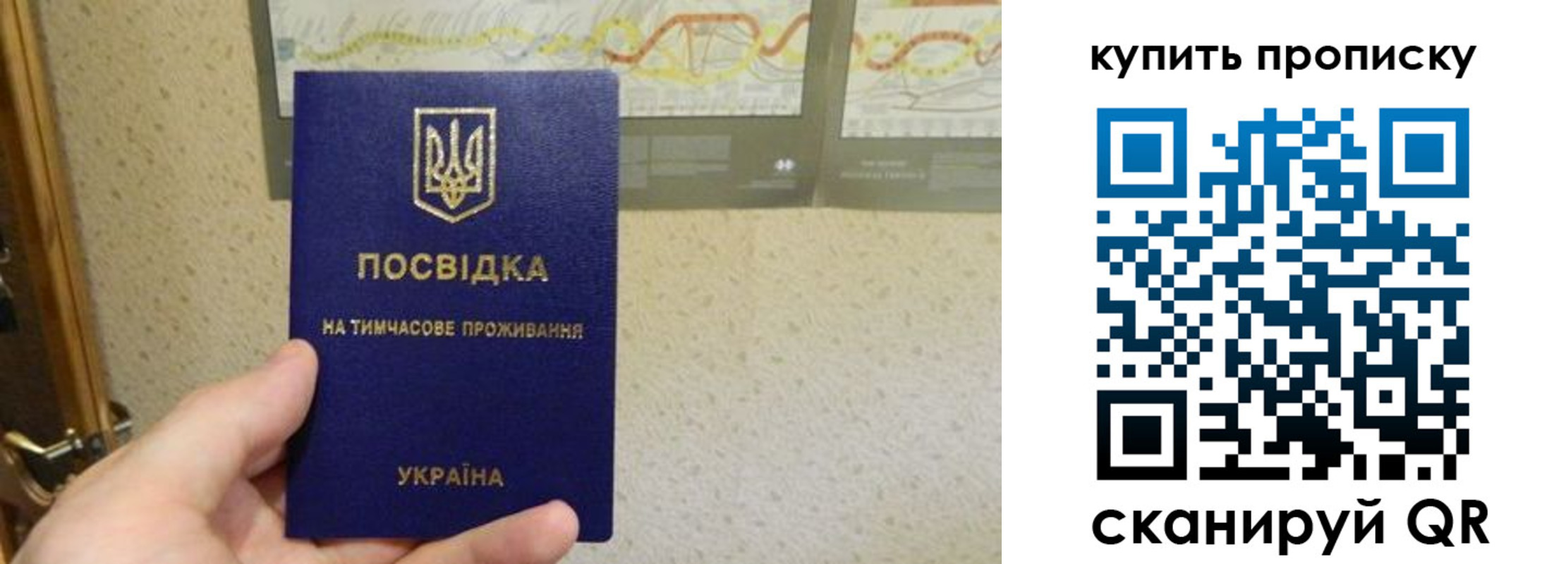 временная регистрация поиск в Амурске